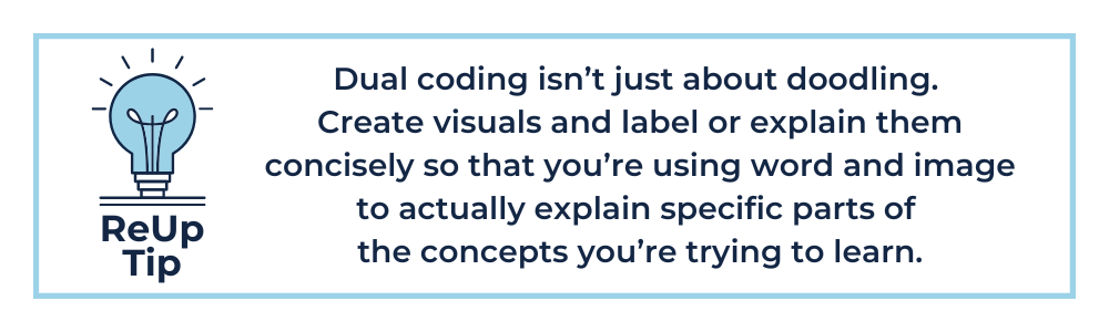 Dual coding isn’t just about doodling. Create visuals and label or explain them concisely so that you’re using word and image to actually explain specific parts of the concepts you’re trying to learn.